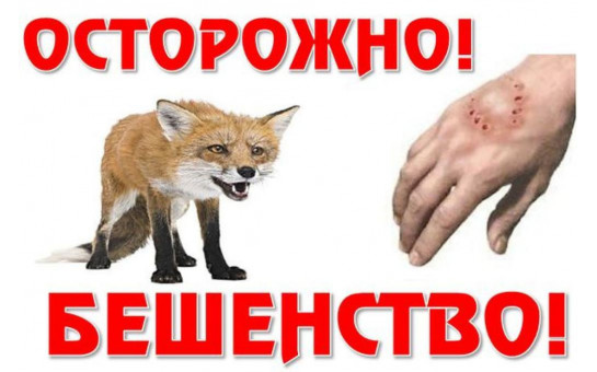 Памятки населению